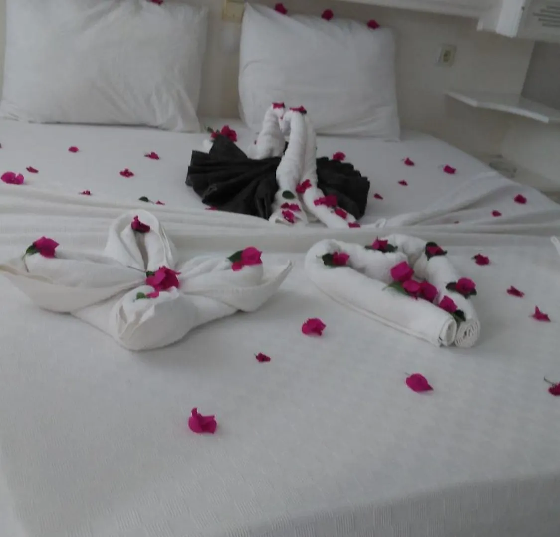 Meryemana Hotel Didim 3*,